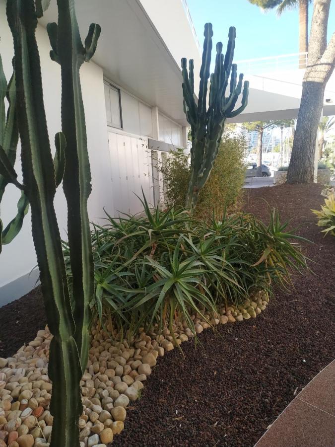 Studio Rez De Jardin Marina Baie Des Anges Вильнёв-Лубе Экстерьер фото